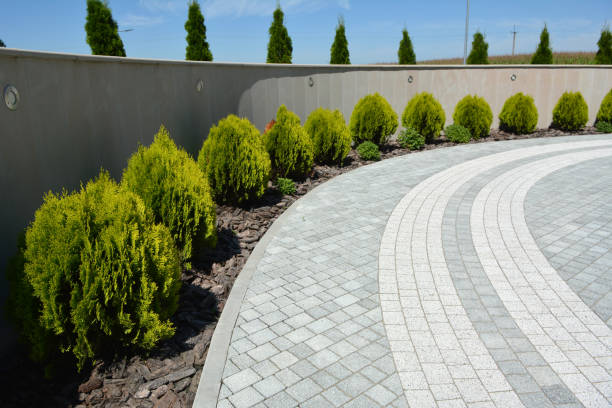 Best Brick Driveway Pavers  in Odessa, MO